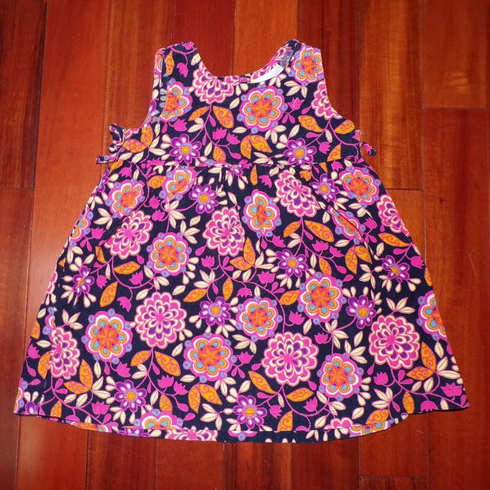 Hanna Andersson Floral Velvet Dress